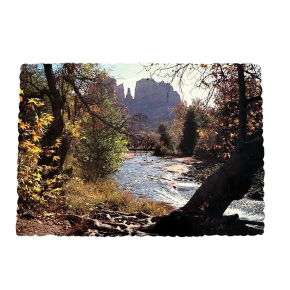 Lot of 5 Vintage River Scenery Nature Scalloped Edges Postcards - Picture 7 of 7